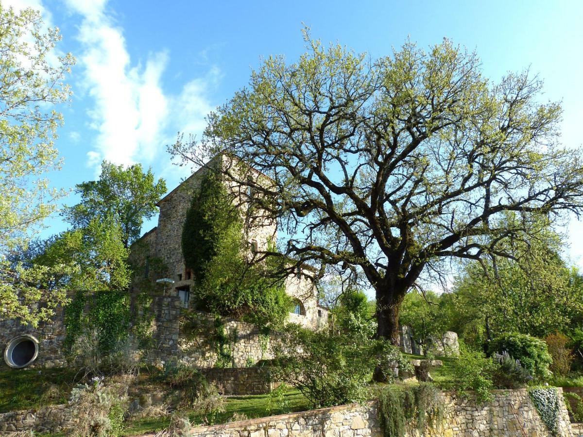 Torre Di Pornello Leilighet Eksteriør bilde